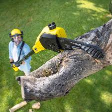 Best Tree Health Inspection  in Badieville, LA